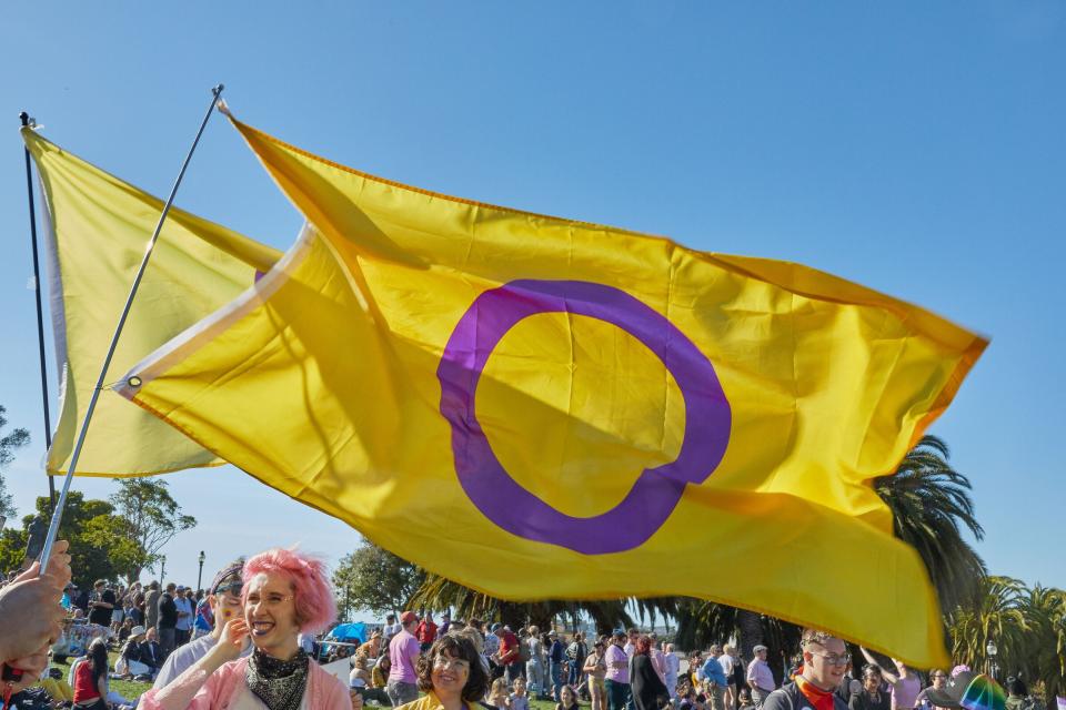 The intersex flag is waved at a demonstration.