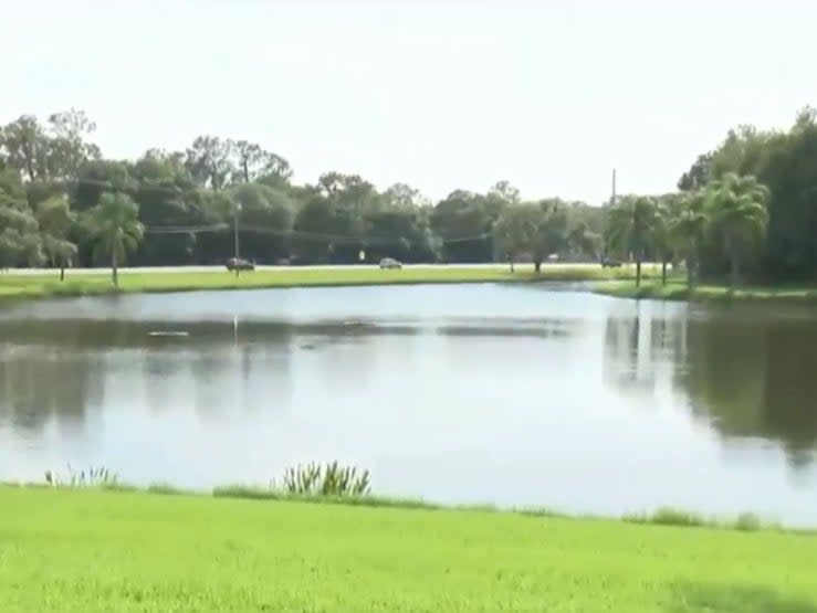 The unidentified woman was pulled from the retention pond in Valrico, Hillsborough County, east of Tampa on Sunday (WFLA)