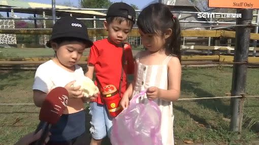 小朋友帶著食物來找動物園中的大明星長頸鹿。