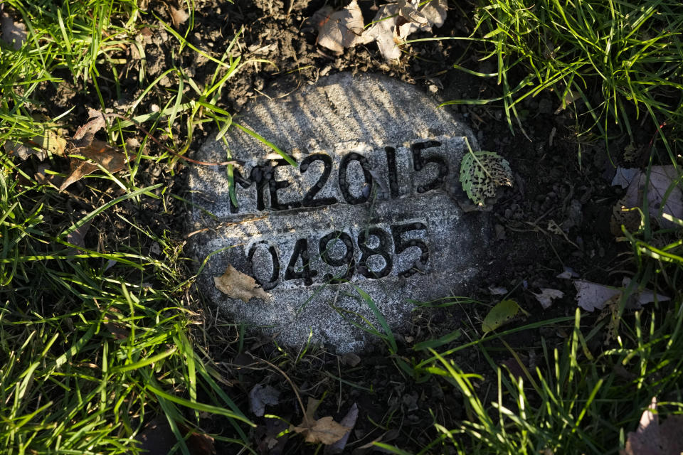 A cement marker in a section for unclaimed people at the Mt. Olivet Cemetery Monday, Nov. 13, 2023 in Chicago, displays the Cook County Ill., Medical Examiner's 4,985th case in 2015, at the burial location for a person who self-identified as Seven at the time of their death in 2015. Eight years later, Cook County, Ill., Sheriff's Commander Jason Moran's team, who investigates missing persons, found the true identity through military records of Seven as Reba C. Bailey. The impersonal marker will eventually be replaced with a U.S. veteran's marker. (AP Photo/Charles Rex Arbogast)