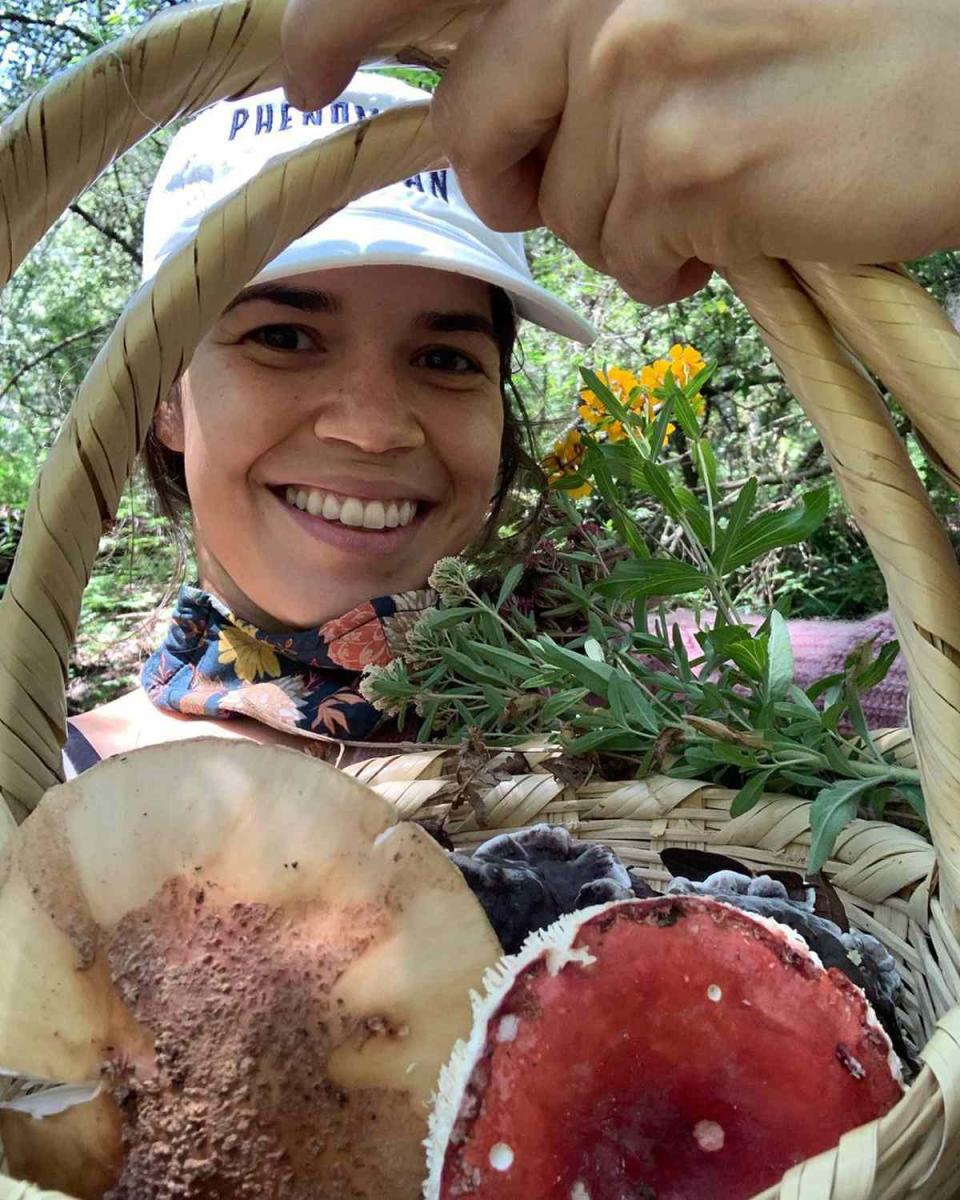 <p>"We went with a group and a wonderful guide here in San Miguel who helped us stay safe. I don't recommend going out and picking/eating mushrooms Willy nilly!" said Ferrera on a <a href="https://www.instagram.com/p/CTUuWcOLSty/?utm_source=ig_web_copy_link" rel="nofollow noopener" target="_blank" data-ylk="slk:gallery;elm:context_link;itc:0;sec:content-canvas" class="link ">gallery</a> with photos of her family foraging for mushrooms.</p>