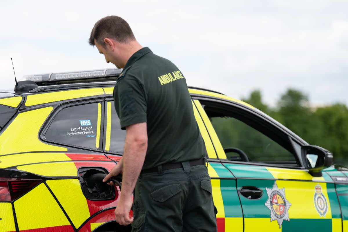 A nurse has described being unable to save her neighbour’s life as he waited two hours for an ambulance, while a man in his 80s was left lying on the street outside a McDonald’s for 18 hours as a result of delays (PA) (PA Wire)