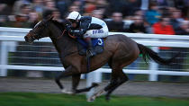 Jockeys at a major horse-race meeting in Cheltenham, England, all wore red, white and blue armbands.