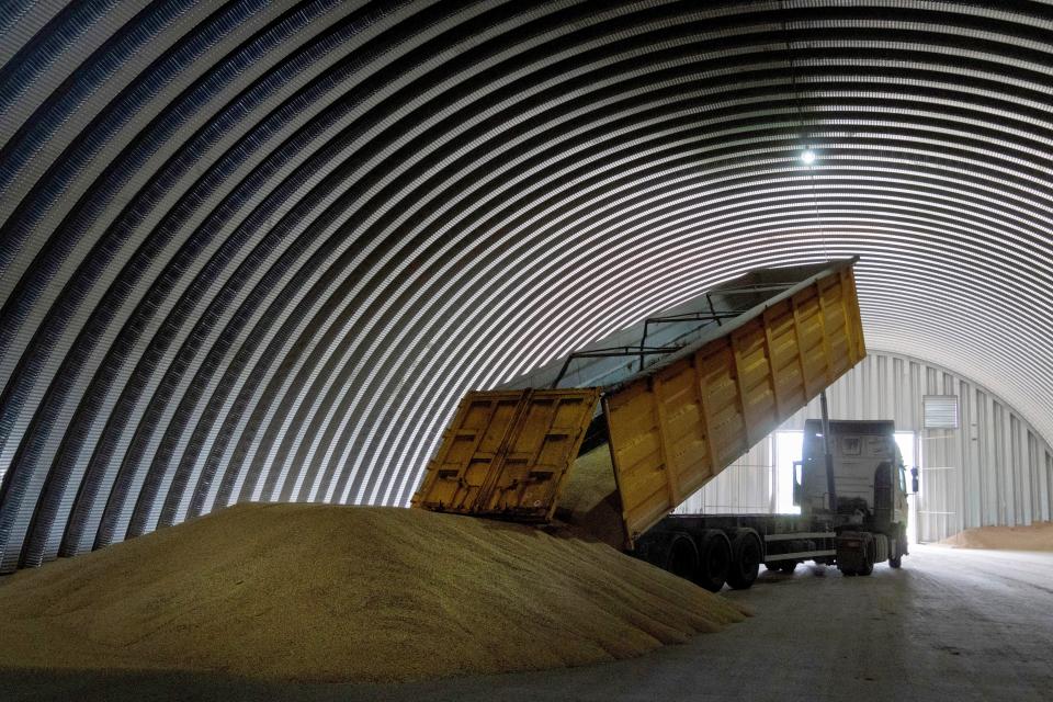 File photo: A dump track unloads grain in a granary in the village of Zghurivka, Ukraine (Copyright 2022 The Associated Press. All rights reserved)