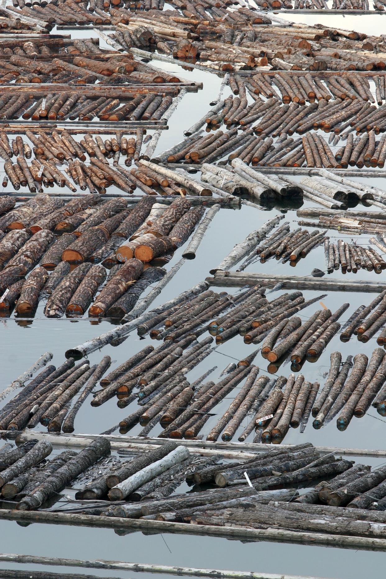 Log booms on a river.