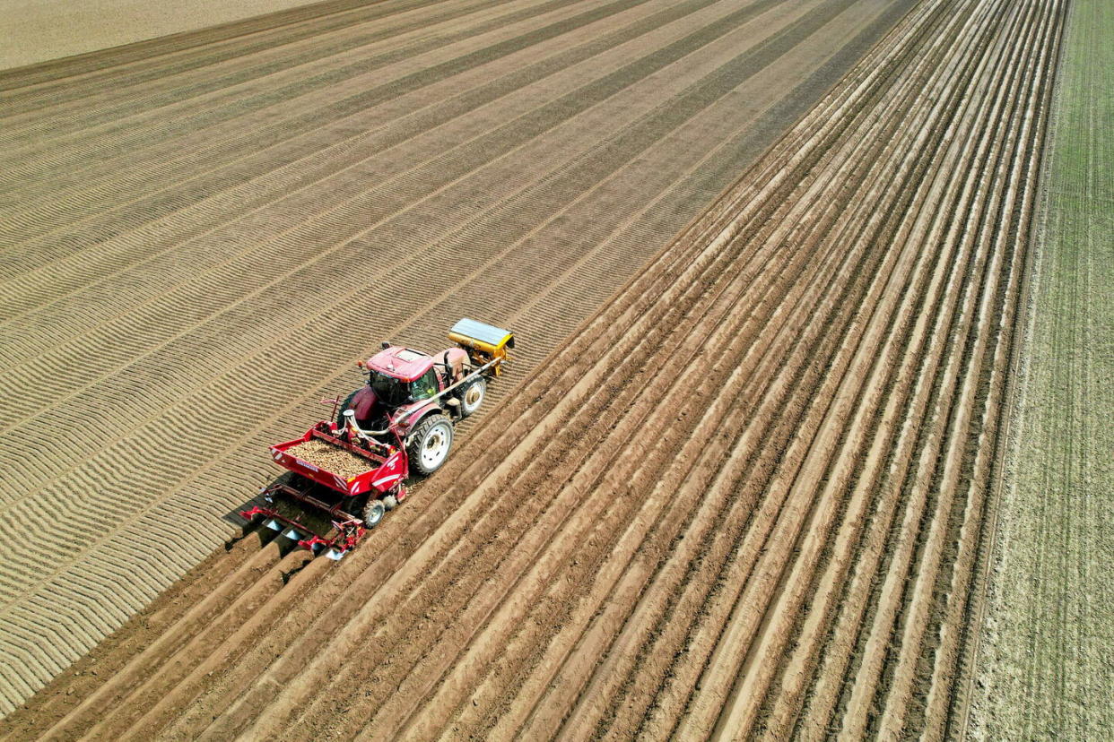 Le projet de loi agricole a été présenté en conseil des ministres ce mercredi 3 avril 2024.  - Credit:Fred HASLIN / MAXPPP / PHOTOPQR/LE COURRIER PICARD/MAXP