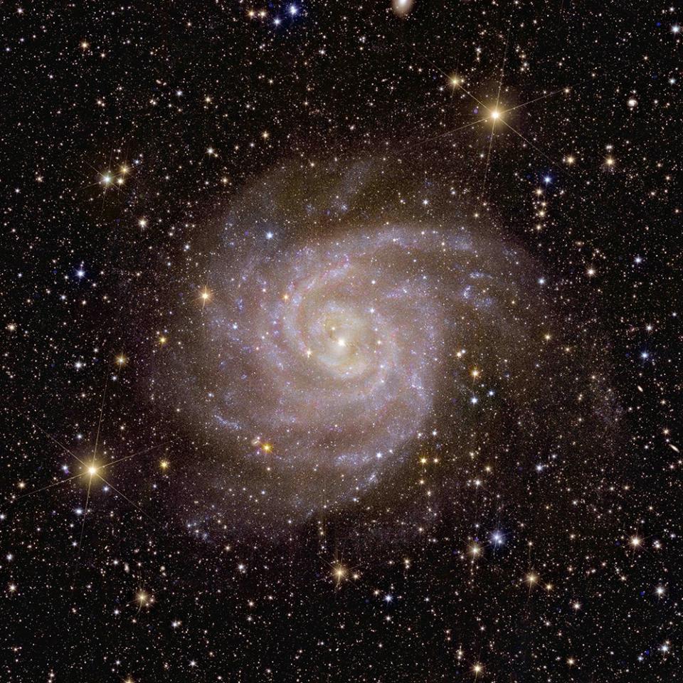 <em>The <u>spiral galaxy</u> IC 342 or Caldwell 5 is nicknamed the “Hidden Galaxy.” It has historically been difficult to observe because it lies in a busy disc in our Milky Way and the dust, gas and stars obscure our view of it. Euclid used its sensitivity and high-tech optics to capture the image, particularly its <u>near-infrared</u> instrument. The instrument allowed it to seek through the space dust and measure the light emitting from many of the cool and low-mass stars that dominate the galaxy's mass. CREDIT: ESA/Euclid/Euclid Consortium/NASA, image processing by J.-C. Cuillandre (CEA Paris-Saclay), G. Anselmi</em>