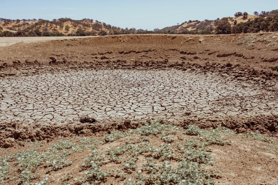 Cracked, dry earth in California.