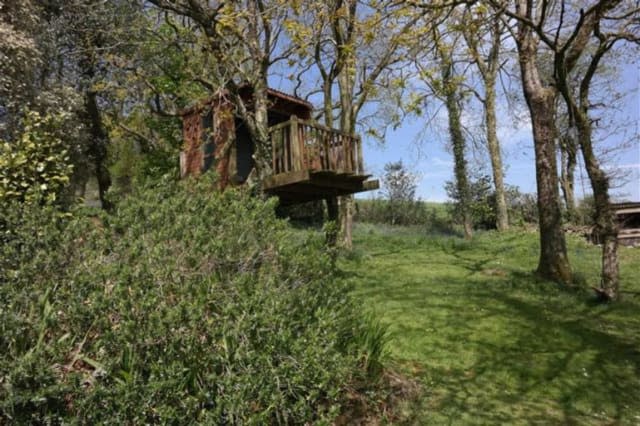 The treehouse in the woods