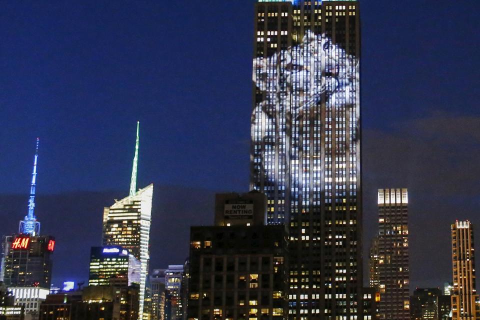 An image of an animal is projected onto the Empire State Building as part of an endangered species projection to raise awareness, in New York August 1, 2015. (REUTERS/Eduardo Munoz)