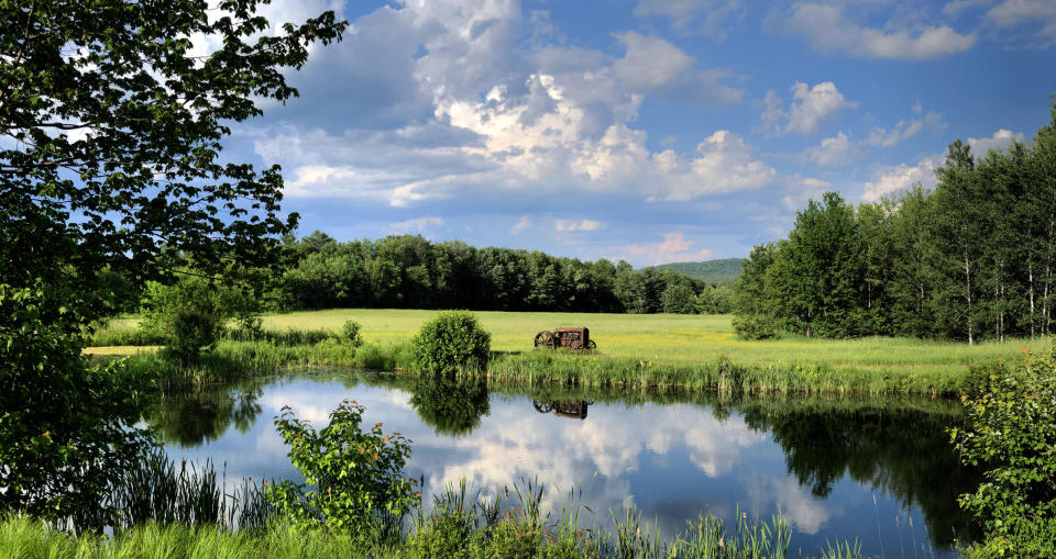 a small pond with trees and grass surrounding