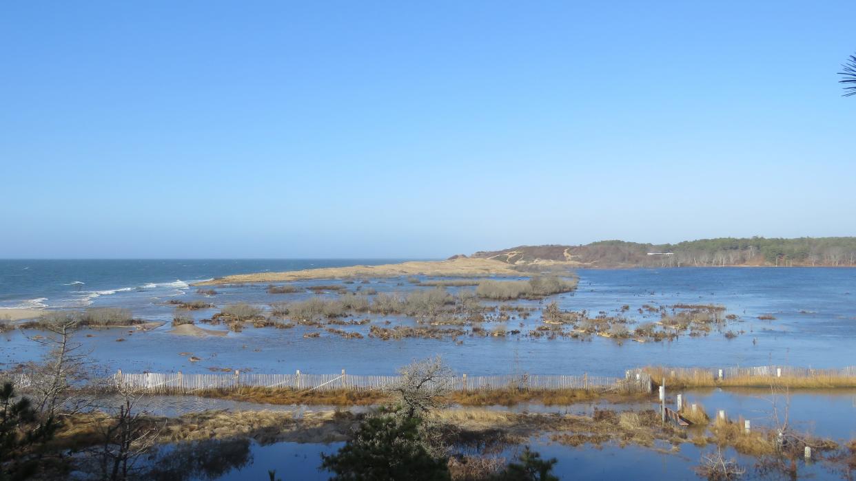 A storm-fueled high tide rushes inland at Duck Harbor in Wellfleet in January 2024.