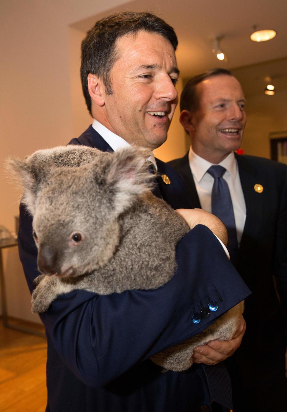 G20 handout photo shows Italy's PM Renzi holding a koala before the G20 Leaders' Summit in Brisbane