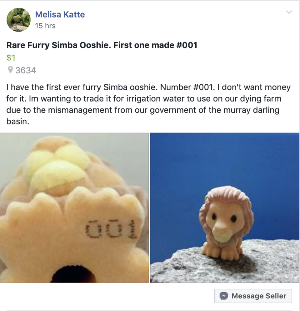 A Facebook post shows two pictures of rare furry Simba ooshie. 