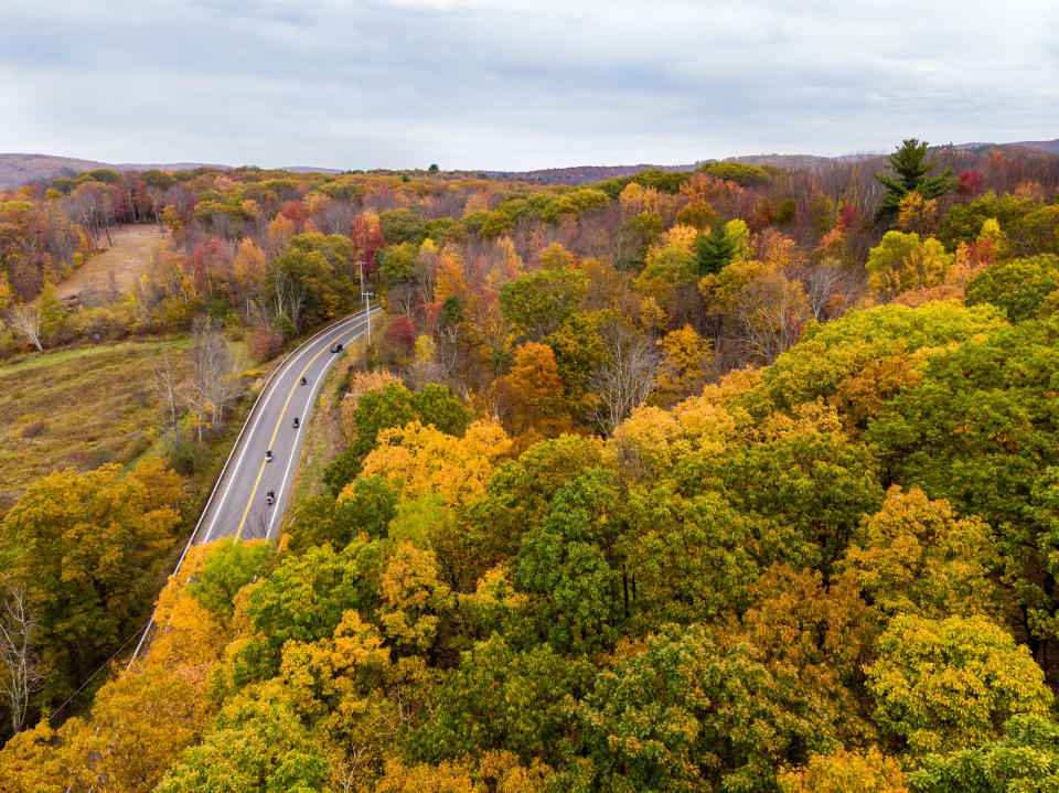 aerial view of a highway cutting through the woods