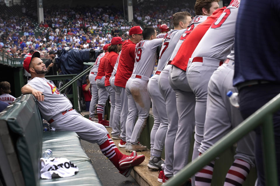 El dominicano Albert Pujols, de los Cardenales de San Luis, observa desde el banquillo, detrás de sus compañeros, durante el juego del jueves 25 de agosto de 2022, ante los Cachorros de Chicago (AP Foto/Charles Rex Arbogast)