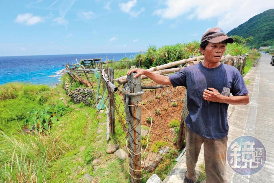 當地居民蘇利雨也曾捕捉過啃嗑農作的豬隻，並指自家農作損失慘重。