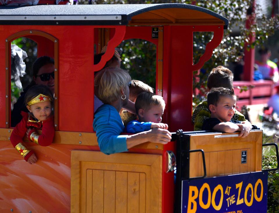 Families ride the train at the Abilene Zoo during Boo at the Zoo in 2020. This family-fun event features games, Punkin' Chunkin', and animals enjoying pumpkins. This weekend is your last chance to enjoy all that the Zoo has to offer for Halloween.