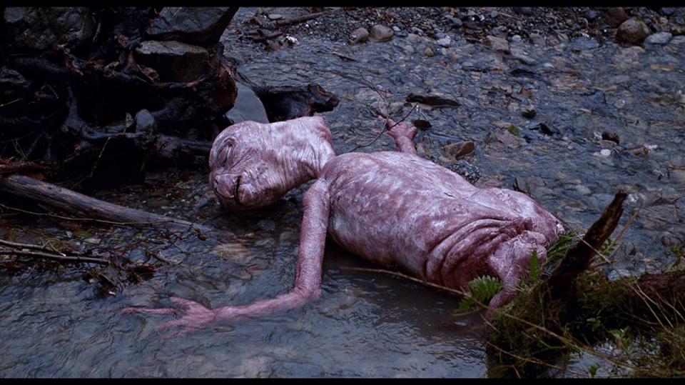 E.T. the Extra-Terrestrial pale and seemingly dead in a river basin.