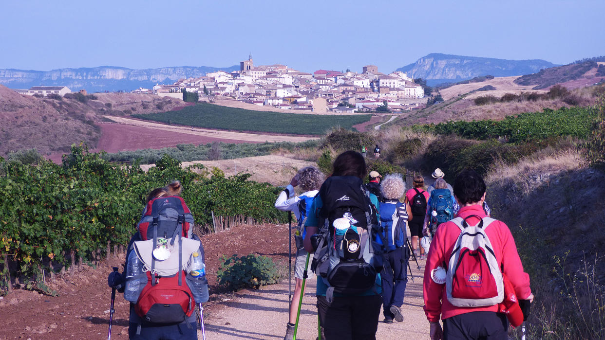 Die Jakobswege erfreuen sich immer größerer Beliebtheit. Im Jahr 2023 konnte das Pilgerbüro in Santiago de Compostela einen neuen Pilgerrekord vermelden. (Bild: André Wagner)