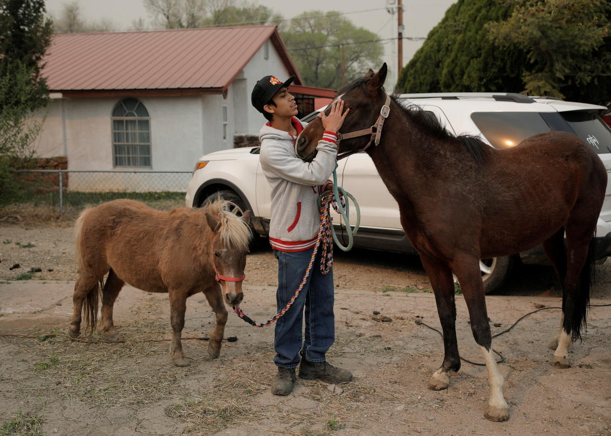 A resident prepares horses to evacuate.