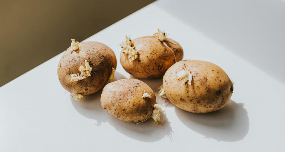 potatoes with sprouts coming out of them