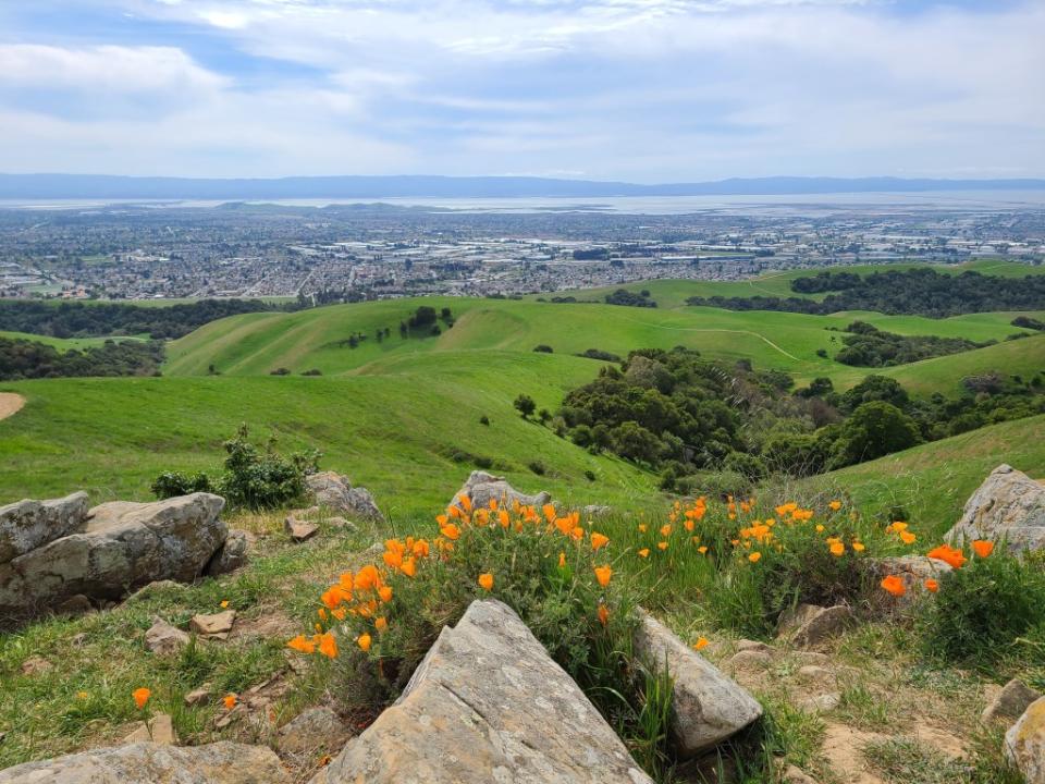 Dry Creek Regional Park via Getty Images