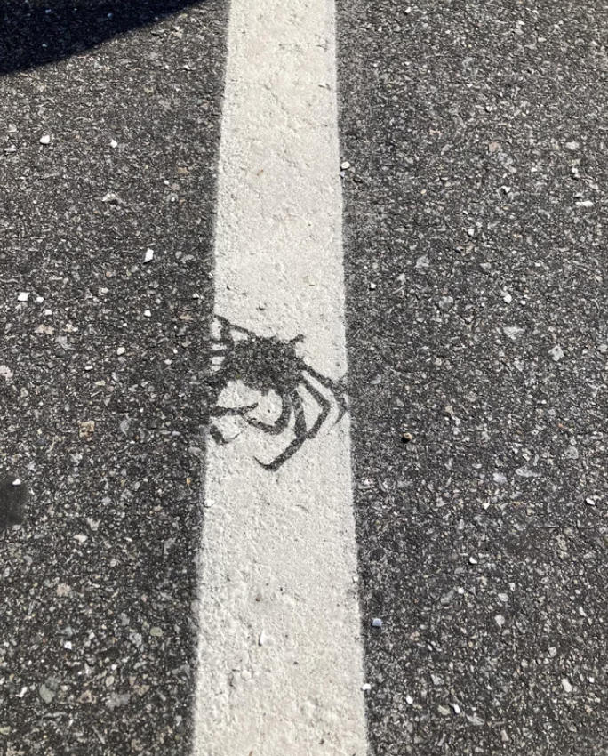 A crab outline on the road