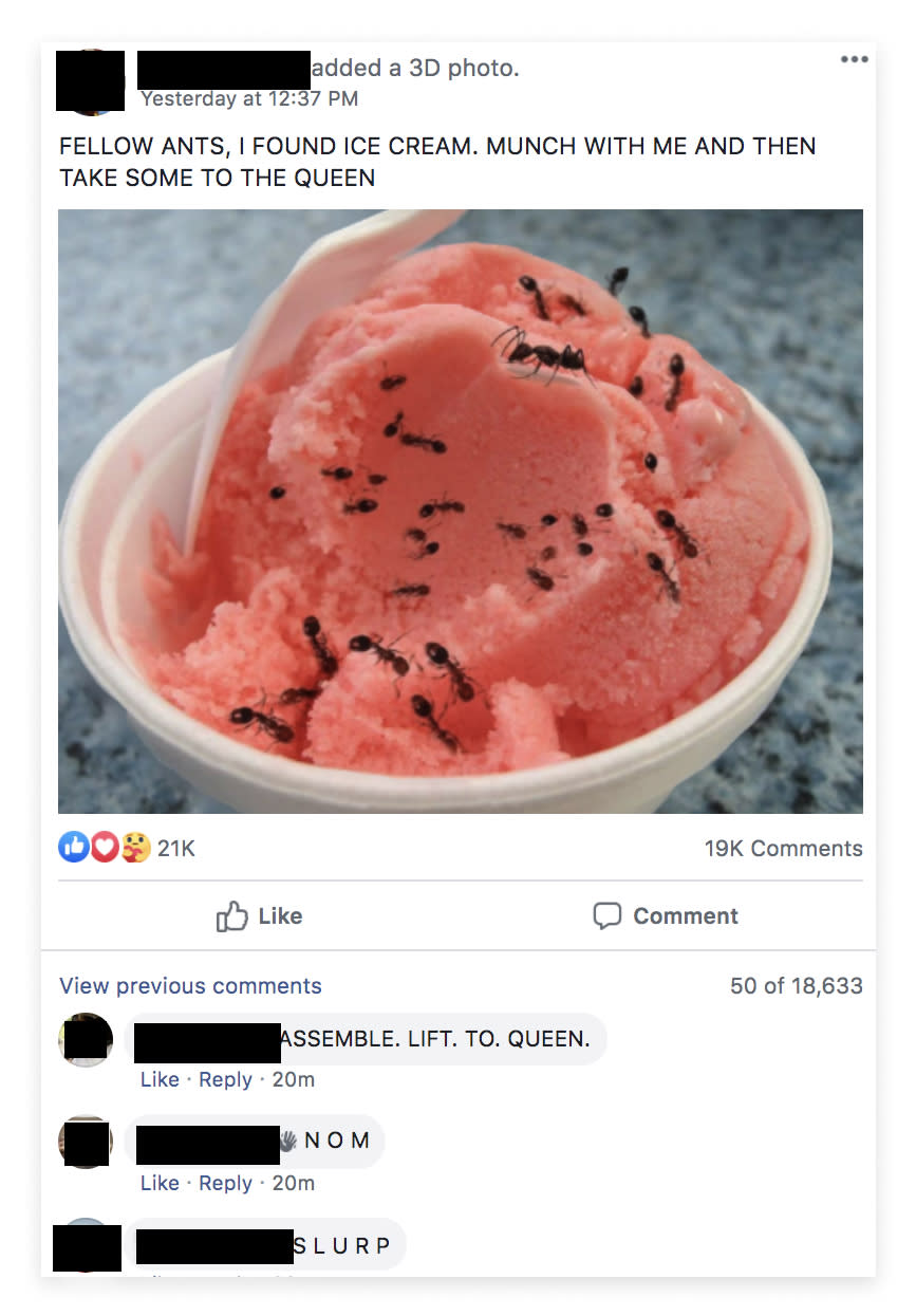 Image: A post in a Facebook group shows a photo of ants crawling on a cup of ice with comments from members. (via Facebook)