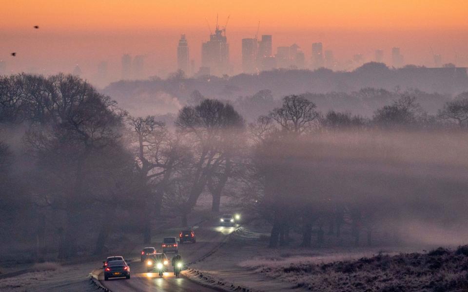 Cold snap in Richmond Park, south-west London - Rick Findler/Story Picture Agency 