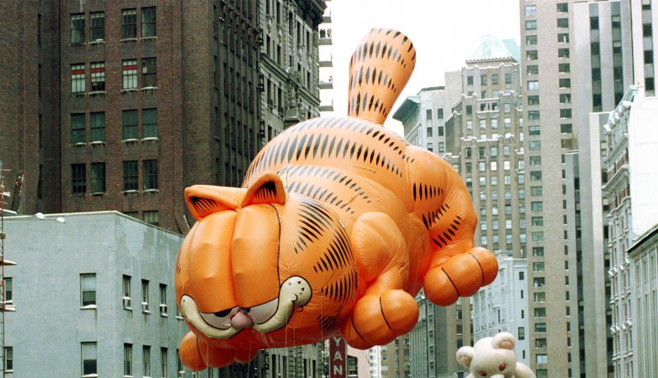 Das Geschlecht von Garfield löste einen Wikipedia-Streit aus. (Bild: AP Images)