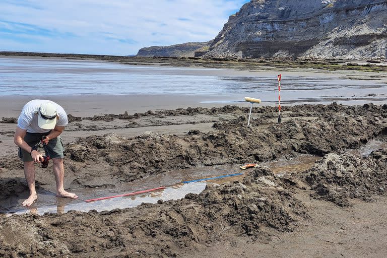 El lugar donde se encontraron las huellas del ave que vivió hace 8 millones de años