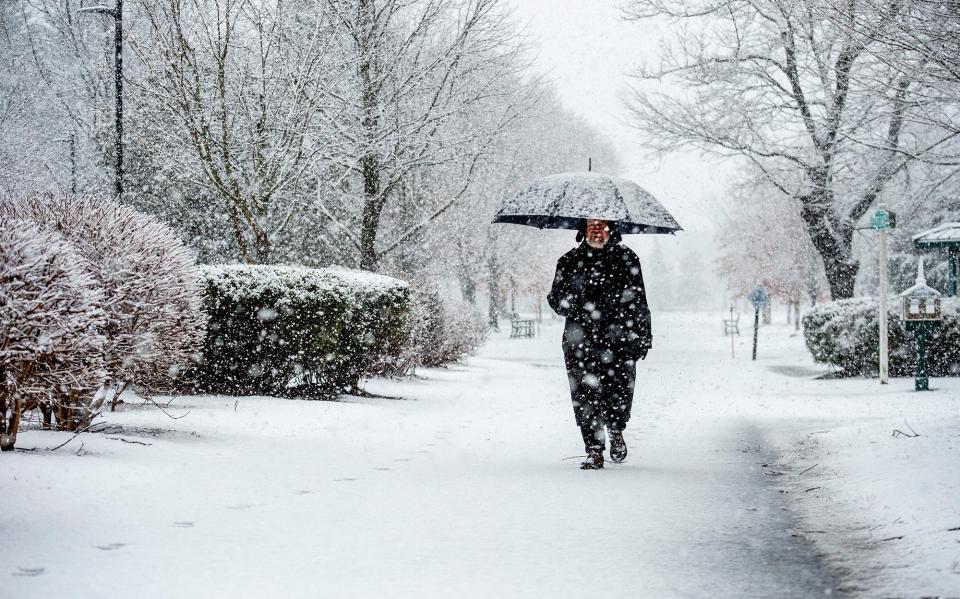 Ken Pullig, of Framingham, walks as the snow began to fall at Cushing Park, March 14, 2023. Snowfall totals in MetroWest were far below average last winter, but the National Oceanic and Atmospheric Administration is predicting more normal amounts this year.