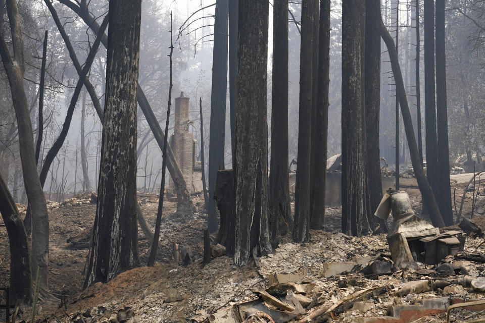 Burned trees and homes are seen after the CZU Lightning Complex Fire went through Sunday, Aug. 23, 2020, in Boulder Creek, Calif. (AP Photo/Marcio Jose Sanchez)