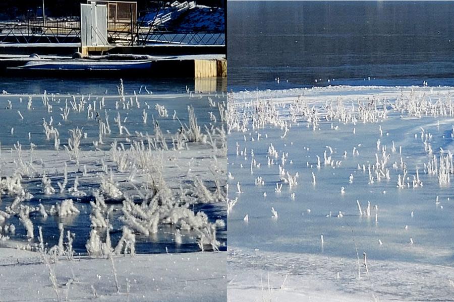 Frío en Big Bear en California crea increíbles paisajes con hielo en la naturaleza