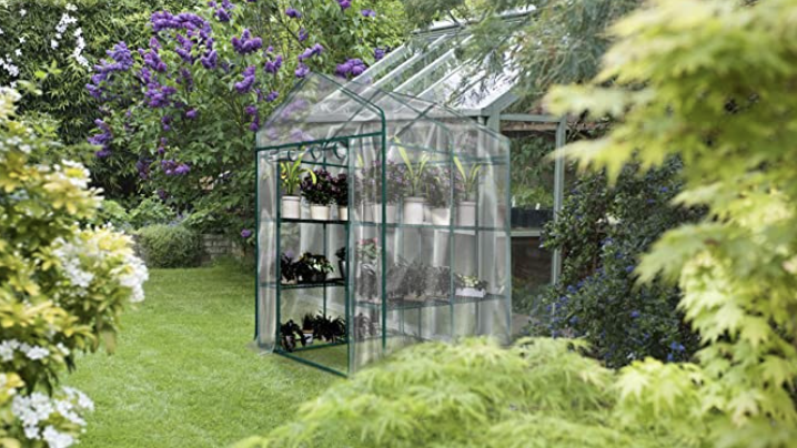 amazon greenhouse in garden