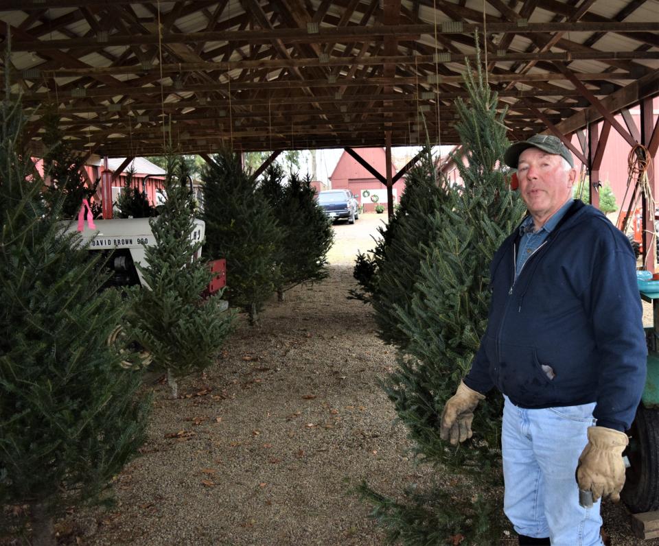 Joel Berry of Twinsberry Tree Farm in Shreve gets pre-cut trees ready for sale.
