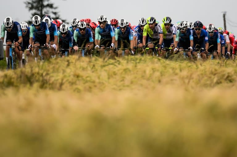 Le peloton lors des Championnats de France de Cyclisme à Saint-Martin-de-Landelles dans l'ouest de la France le 23 juin 2024 (LOIC VENANCE)