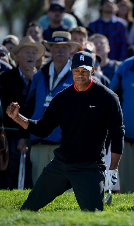 Tiger Woods clenches his fist after hitting out of the 11th green bunker en route to victory during the final round at the Farmers Insurance Open at Torrey Pines on January 28, 2013. Woods completed a final-round par 72 despite going three-over in the closing stretch, finishing 72 holes on 14-under par 274