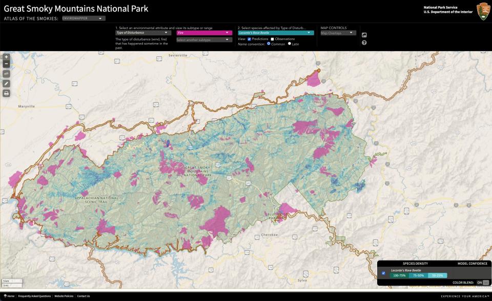 The Atlas of the Smokies is a powerful interactive tool for creating layered maps using GIS data collected in Great Smoky Mountains National Park. In this map, fire disturbances marked in pink are shown alongside the predicted species distribution of the leaf-litter-dwelling Le Conte’s rove beetle. The tools are available for free public use at environment.atlasofthesmokies.org.