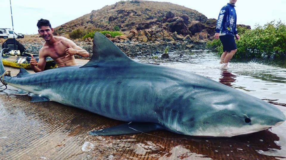 Mr Mettner said the shark measured 4.1 metres. Source: Facebook