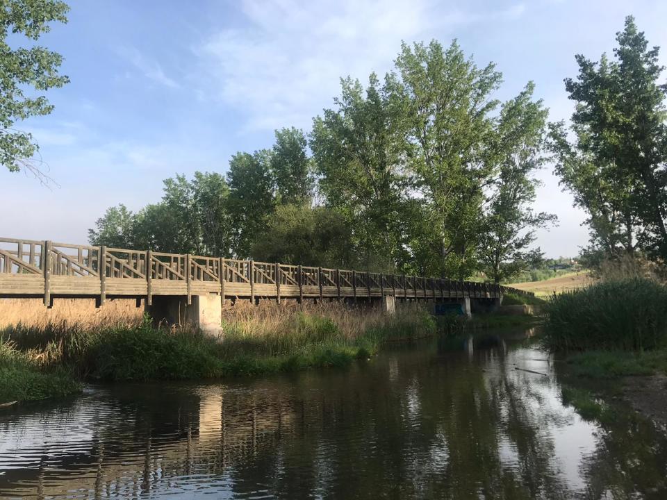 Puente peatonal sobre el arroyo del Bodonal, también conocido como Viñuelas. El arroyo es una corriente fluvial de la Comunidad de Madrid (España), que pertenece a la cuenca del río Jarama. (Foto Mariángela Velásquez).