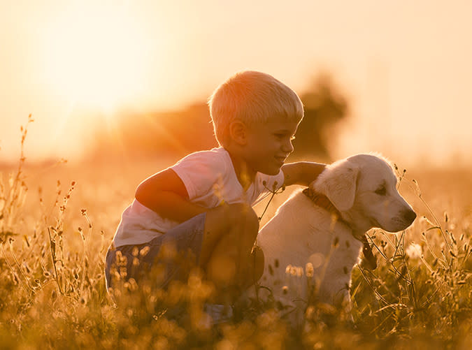 The Very Best Kid-Friendly Dogs for Your Growing Family