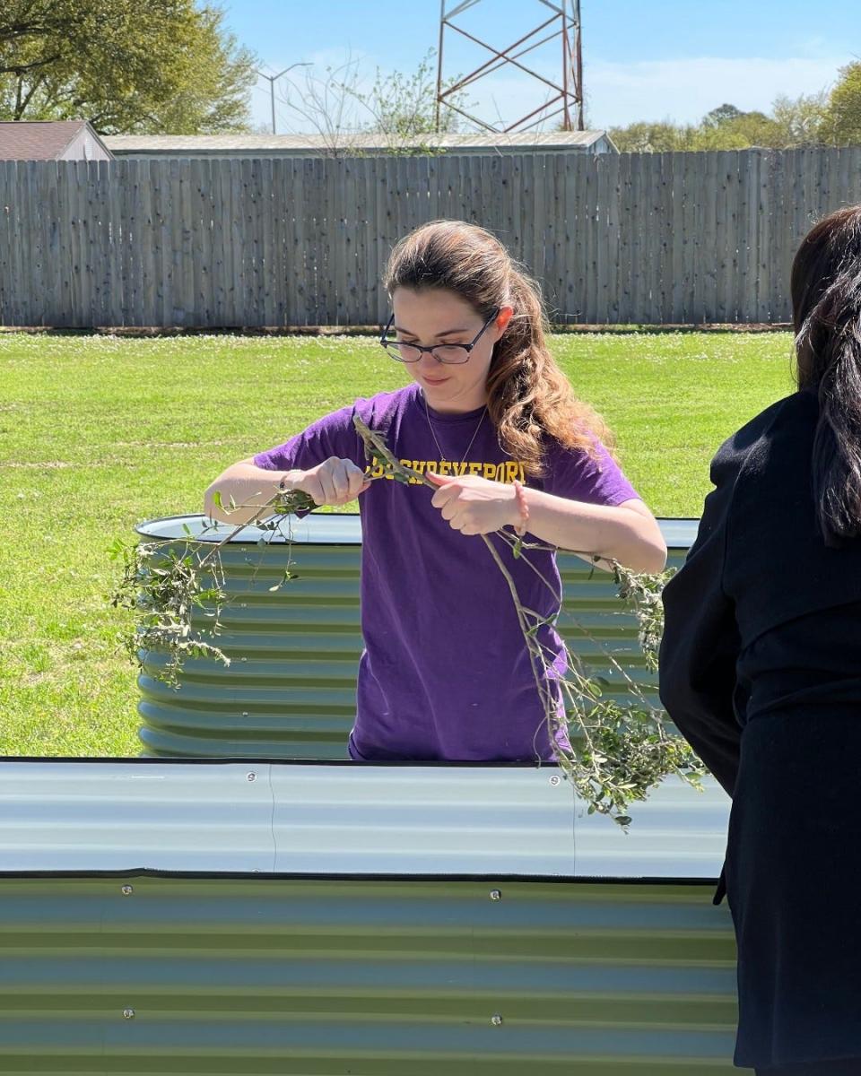 LSUS history junior Abigail Boykin preps a branch to help form a fertilizer layer at the bottom of a raised garden bed. Boykin, the president of the group Red River Garden Club, is leading the group’s efforts to build a community garden that will donate its crop to the LSUS Food Pantry.