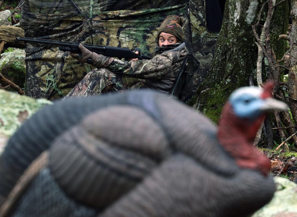 in 2019, Amy Rose Boisvert sits outside a blind in Richmond, scanning the terrain for turkeys. In the foreground is a turkey decoy designed to draw male turkeys near enough to shoot. The number of hunting licenses sold in Rhode Island has fallen since 2000.