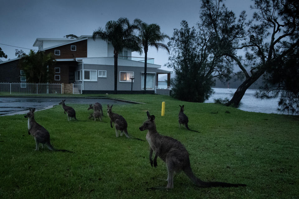 Afuera del Centro Comunitario Lake Conjola, donde se realizó una reunión para ayudar a los residentes afectados por los incendios forestales, en Lake Conjola, Australia, el 17 de febrero de 2020. (Matthew Abbott/The New York Times)