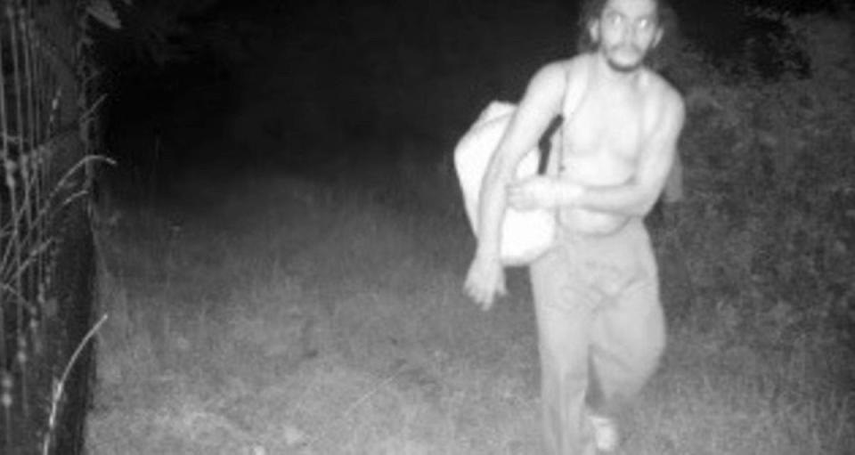 Danelo Cavalcante captured on trail camera on Monday night (Chester County)