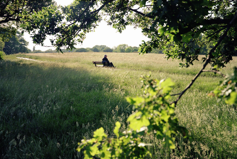 A man sitting alone on a park bench