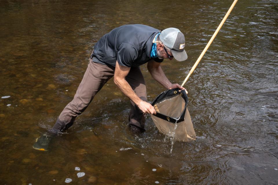 University of Arizona associate professor Michael Bogan checks his larvae net on June 26, 2023, while doing a dragonfly/damselfly survey on the Santa Cruz River near Marina.