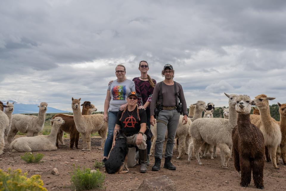 Tenacious Unicorn Ranch pose in front of alapcas